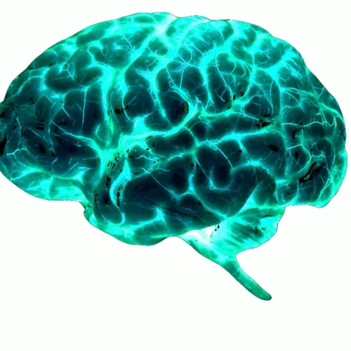 Regenomica-Bg-cerebro-10mayo2025